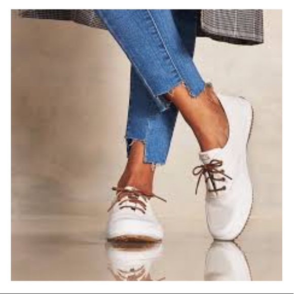 scout trek splash canvas